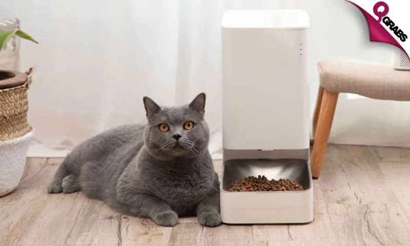 Xiaomi Smart Pet Food Feeder!